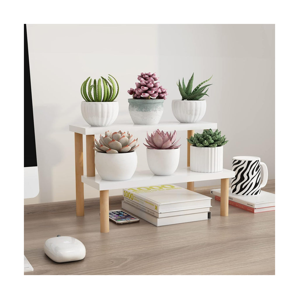 Small Plant Stand Shelf Indoor Desk, 2 Tiers Desktop Flower Stand | Window Sill Plant Shelf Ladder Tabletop Wood
