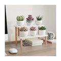 Small Plant Stand Shelf Indoor Desk, 2 Tiers Desktop Flower Stand | Window Sill Plant Shelf Ladder Tabletop Wood