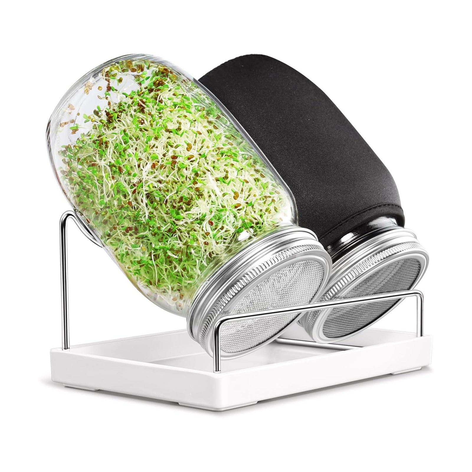 Seed Sprouting Jar Kit - 2 Wide Mouth Mason Jars with 316 Stainless Steel Sprouting Lids Covers, Drip Tray and Stand