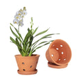vensovo 8 Inch Terracotta Orchid Pots with Holes and Saucers - 2 Pack Clay Orchid Planter Pots for Repotting, Breathable Flower Pots for Indoor Outdoor, Promotes Air Circulation & Healthy Roots