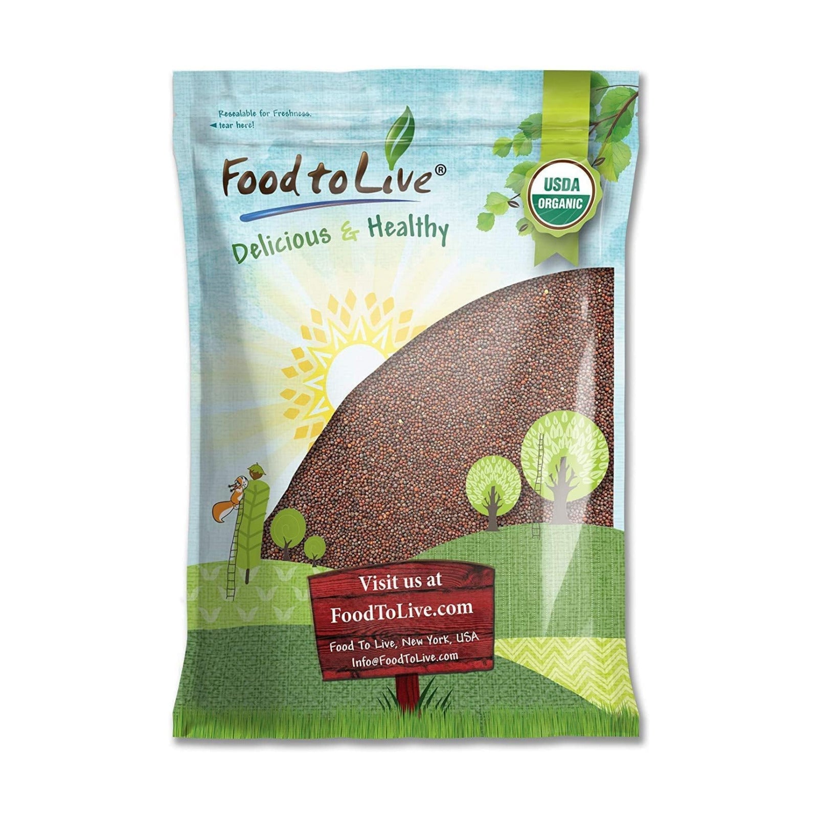 Food to Live Organic Broccoli Seeds for Sprouting, 12 Pounds – Non-GMO, Vegan, Kosher, Sirtfood, Bulk. Rich in