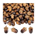 Syhood 300 Pieces Mini Artificial Acorn Bulk with Natural Cap, Dark Brown