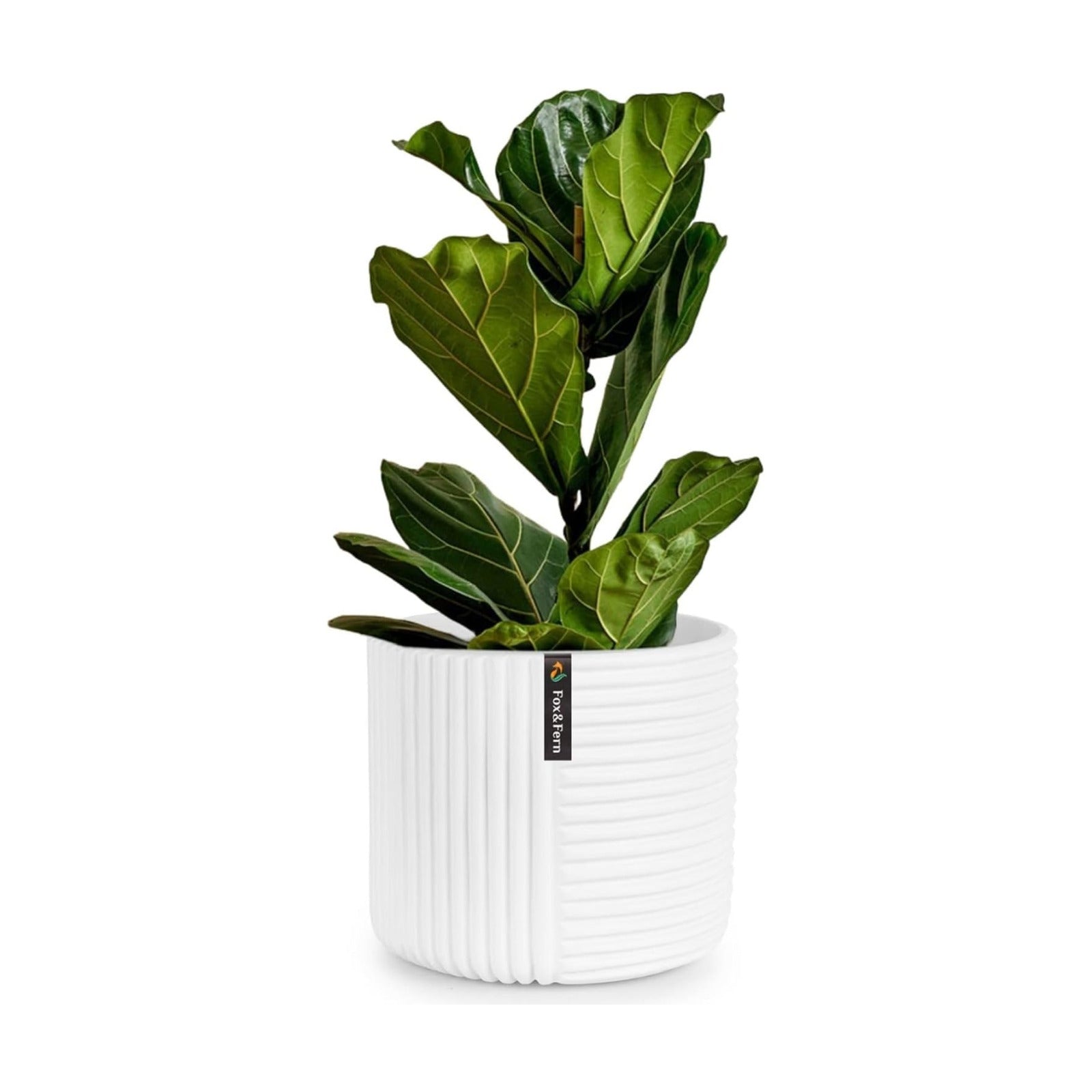 Fox & Fern Large Planter for Indoor or Outdoor, Matte White, 12 Inch | UV & Frost Resistant, 70% Lighter than Ceramic