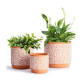 DeeCoo 3 Piece Ceramic Plant pots Indoor Flower Pots Set with Drainage Holes, 5.7/4.7/3.5/inch, Modern Decorative