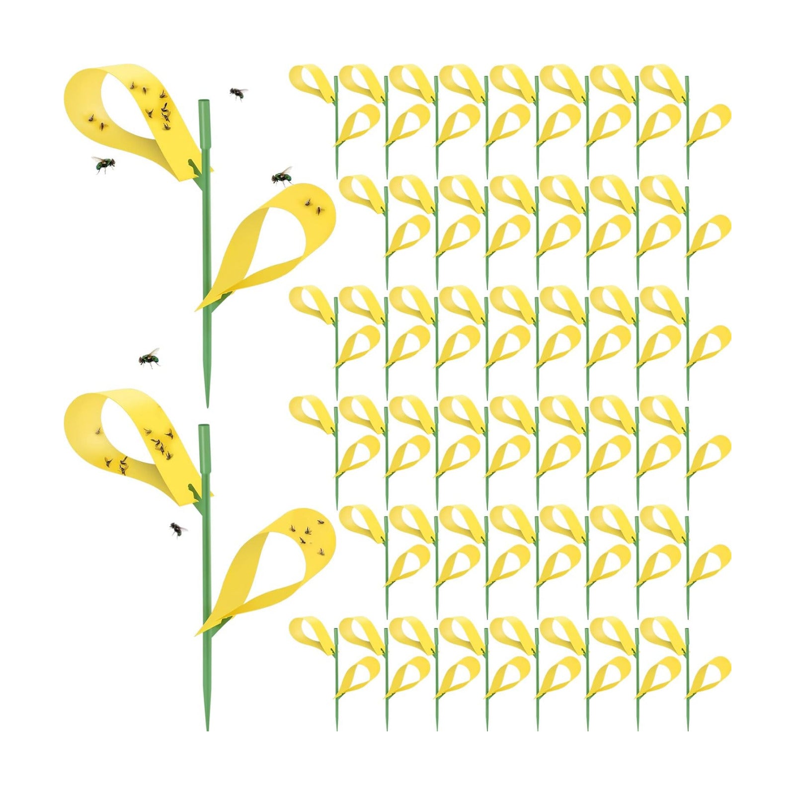Qualirey 300 Pcs Sticky Houseplant Traps Fungus Gnat Fruit Fly Trap Sticky Houseplant Stakes Insect for Outdoor Garden