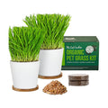 The Cat Ladies Cat Grass Growing kit with Organic Cat Grass Seed, Soil and Two Ceramic Planters with Bamboo Trays