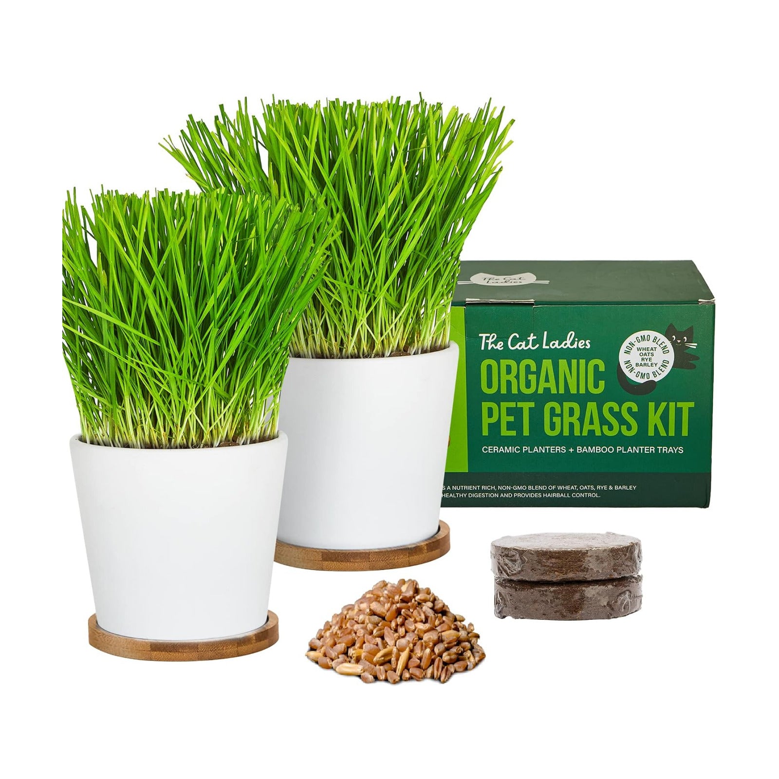The Cat Ladies Cat Grass Growing kit with Organic Cat Grass Seed, Soil and Two Ceramic Planters with Bamboo Trays
