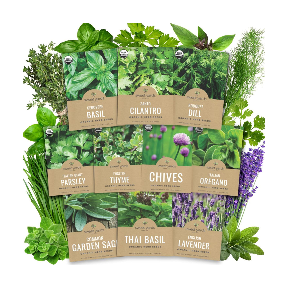 Organic Herb Seeds Variety Pack - 10 Individual Packs - 2026 Season - Basil, Cilantro, Dill, Thyme, Parsley and More! for Indoor & Outdoor Planting (Non-GMO, Certified Organic)