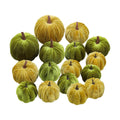 Woration 16pcs Fabric Fake Velvet Pumpkins Set Decoration Green Series