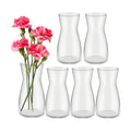 Thenshop 6 Pcs 8'' Tall Clear Glass Flower Vase for Bouquet, Clear