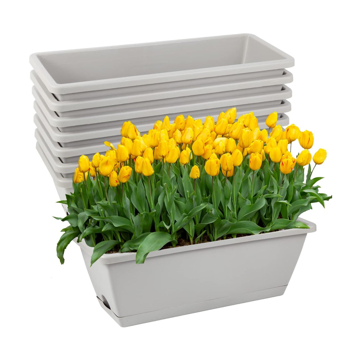 8pcs Window Box Planter,Rectangle Plastic Vegetable Flower Planters Boxes
