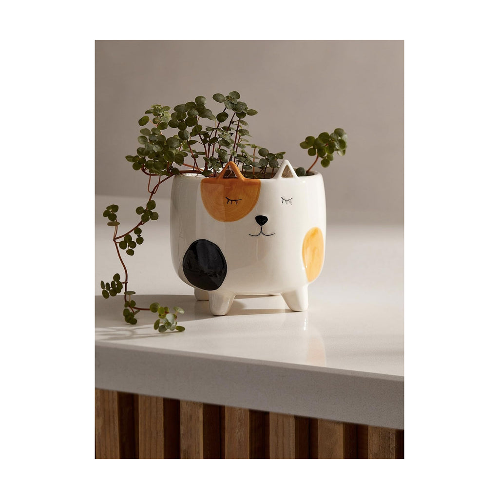 Cat Planter Pot | Indoor Planter for Plants | Cat Lover and Gardening Gift | Animal Succulent Planter | Gifts for Women