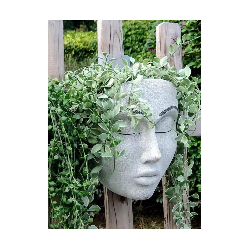 Face a Planter Pot,Face Flower Pot Hanging Indoor Outdoor Wall Decoration | Face Flower Pot Hanging Wall