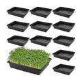 KEILEOHO 12 Pack Plastic Mesh Trays, Black Seed Sprouting Trays, Mesh Bottom Microgreens Growing Tray, Nursery Tray for