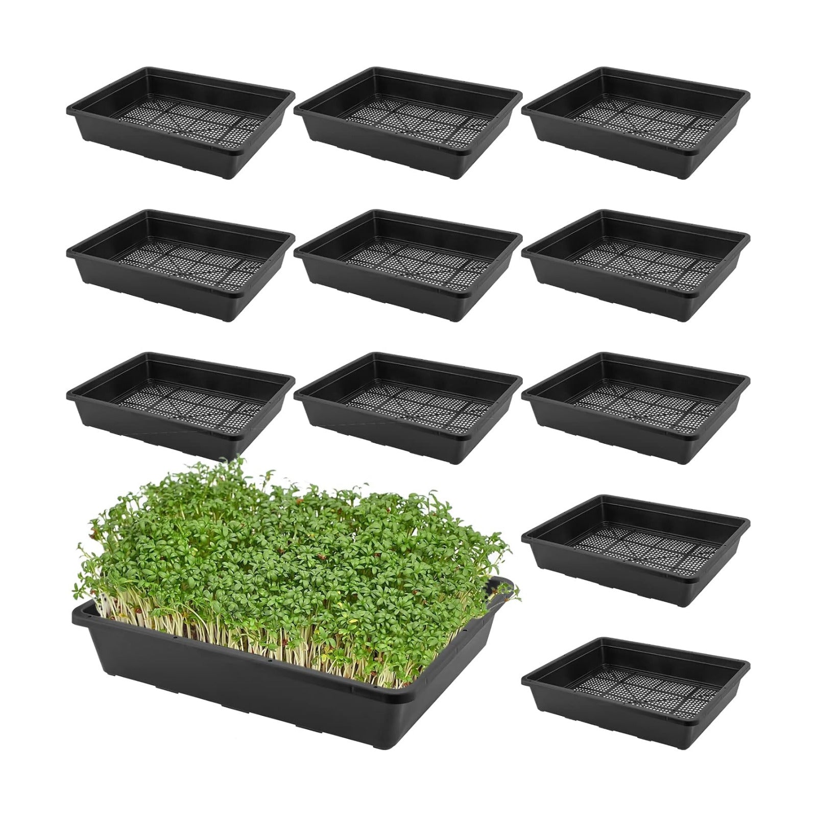 KEILEOHO 12 Pack Plastic Mesh Trays, Black Seed Sprouting Trays, Mesh Bottom Microgreens Growing Tray, Nursery Tray for