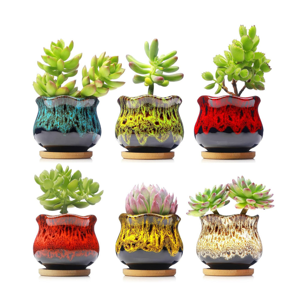 Cute Ceramic Succulent Planters, Garden Pots with Drainage and Attached Saucer, Set of 6 - Plants Not Included