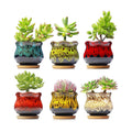 Cute Ceramic Succulent Planters, Garden Pots with Drainage and Attached Saucer, Set of 6 - Plants Not Included