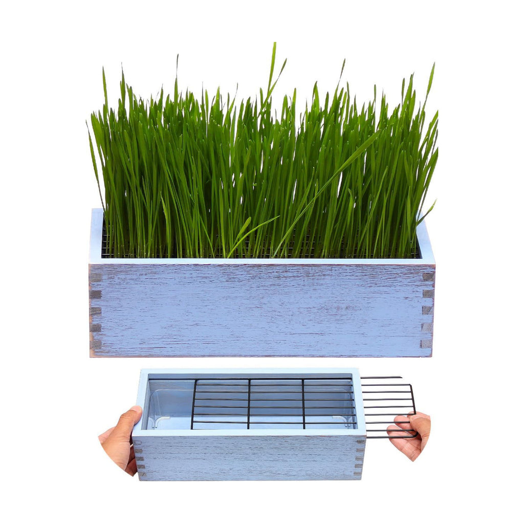 Wooden Cat Grass Planter (no Seeds Included) Anti Digging Design | with Potting Soil Disks, Anti-Digging Grid and
