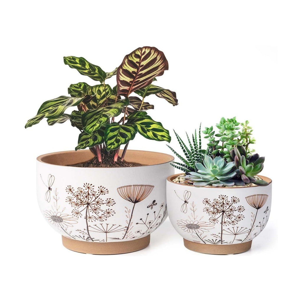 Terracotta Pots, 8+6 Inch Plant Pots, 2 Pcs with Drainage Holes | White & terracotta ceramic planters with botanical