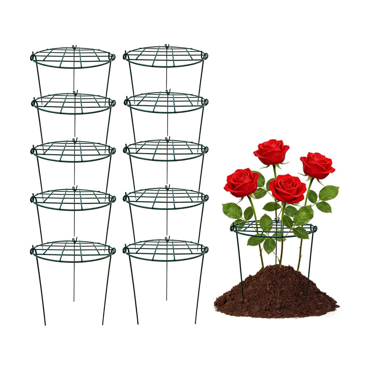 10 Pack 12 x 16 inch Poeny Cage Grow Through Grid Plant Brace Flower Support Rings,Round Metal Plant Stakes Rings, Strong Large Garden Supports for Flowers, Peonies, Rose, Lily