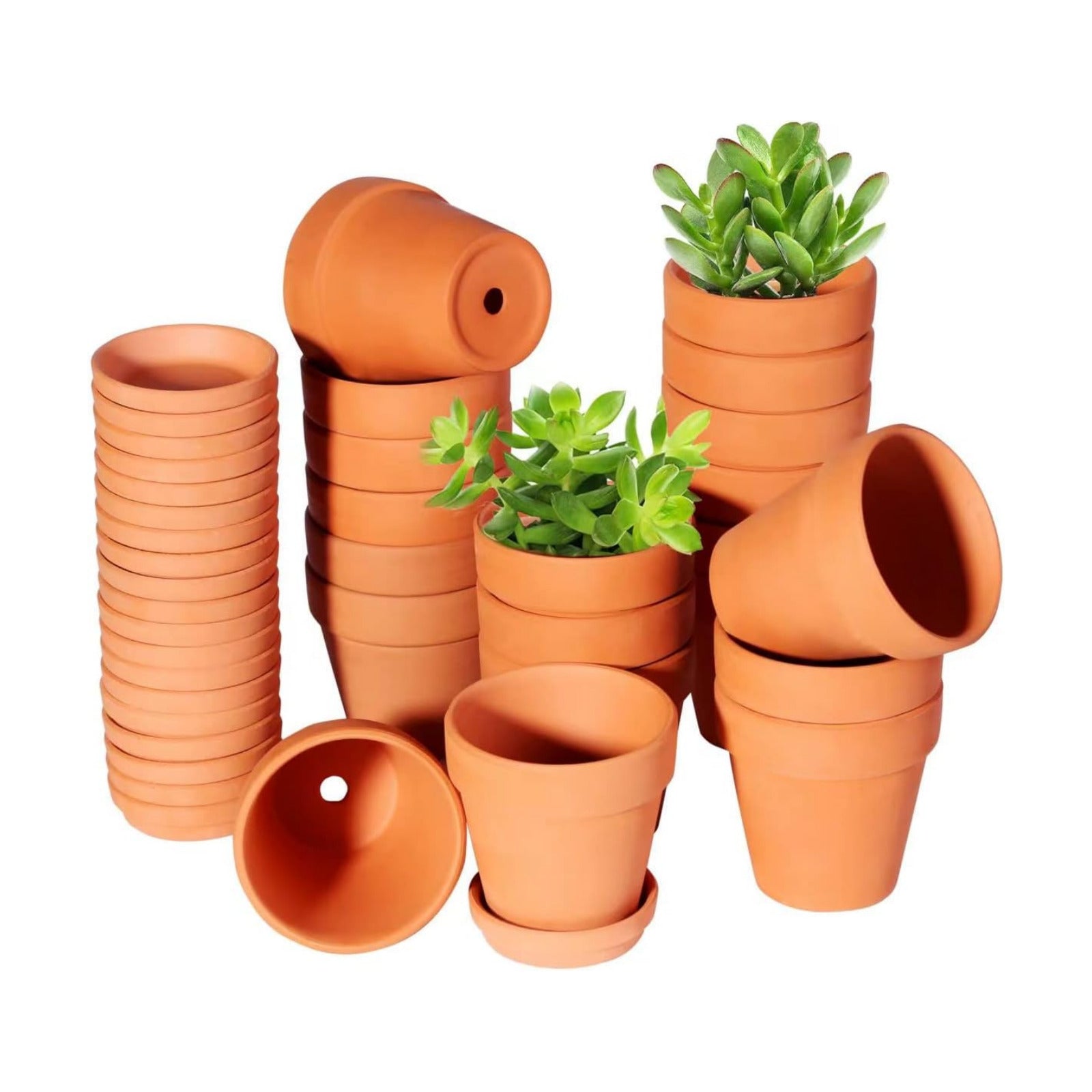 TKSCUSR 3 Inch Terracotta Pots with Saucer-20 Pack，Cactus Terra Cotta Flower Pot with Drainage，Succulent Nursery Clay