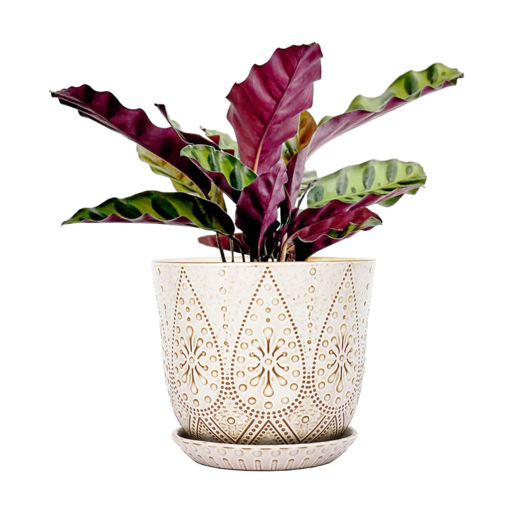 Gepege 8 Inch White Ceramic Plant Pot with Drainage & Saucer | Large ceramic plant pot with drainage hole, ceramic