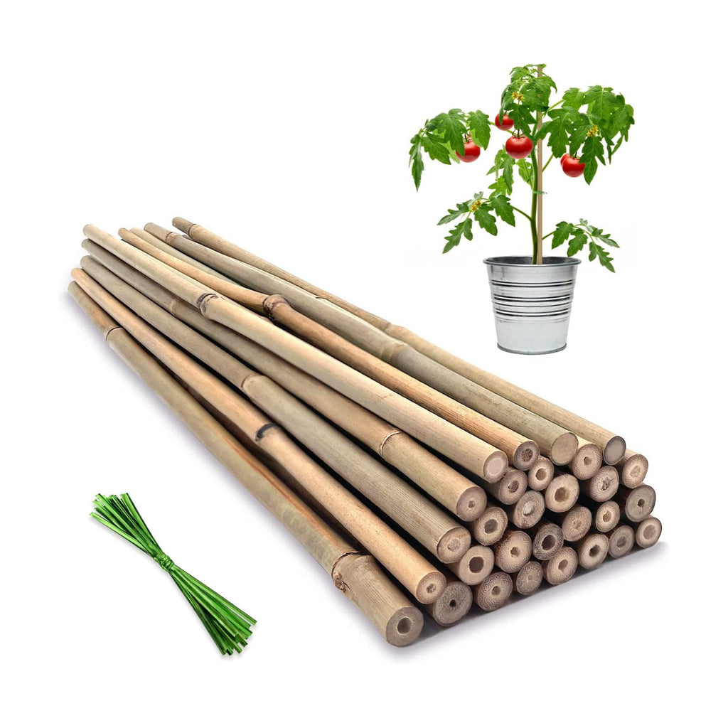 Plant Stakes,16IN Natural Garden Bamboo Sticks, 20Pcs Plant Support Stakes