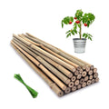Plant Stakes,12IN Natural Garden Bamboo Sticks, 20Pcs Plant Support Stakes