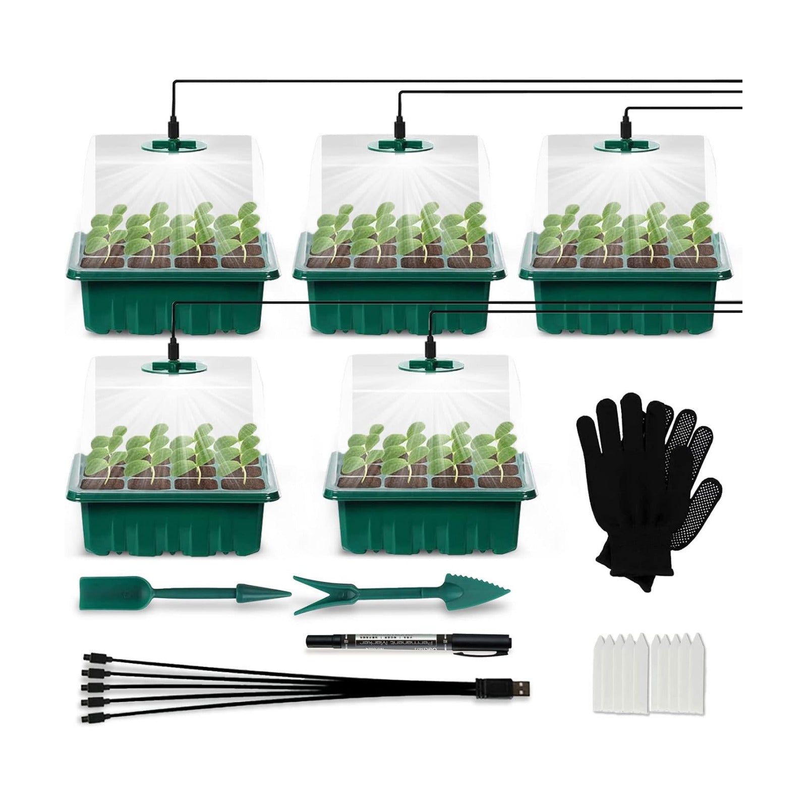 Seed Starter Tray Kit with Grow Light, 5 Pack Plant Seed Tray Kit with Humidity Domes and 3.9" Height Covers, Indoor