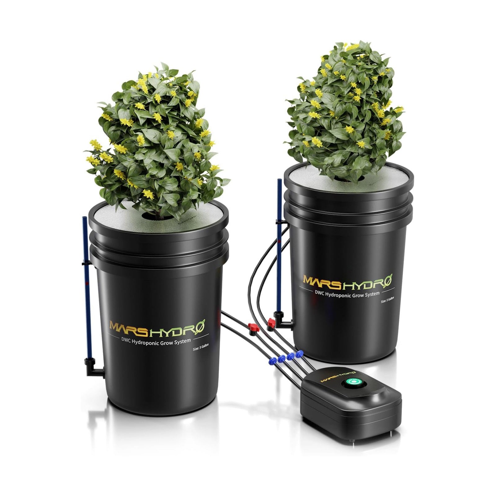 Mars Hydro DWC Hydroponics Grow System 5 Gallon Deep Water Culture with 8W Air Pump, Multi-Purpose Air Hose, Air Stone