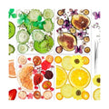 70PCS+ Nature Dried Pressed Fruits Flowers for Resin Mold, Real Dry Pressing Floral Set for DIY Jewelry Making Nail Card Scrapbook Art Craft Fruits Style