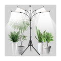 Grow Lights for Indoor Plants, 5 Heads Grow Light with Tripod Stand | Full Spectrum,100PCS LEDs,3 Light Modes,6/12/16H