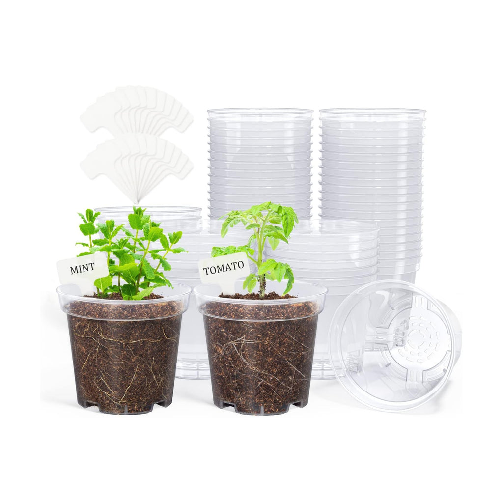 4 Inch Clear Nursery Pots for Plants with 20 Plant Labels (60 Pcs) | Multiple drainage holes and a raised base support
