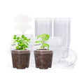 4 Inch Clear Nursery Pots for Plants with 20 Plant Labels (60 Pcs) | Multiple drainage holes and a raised base support