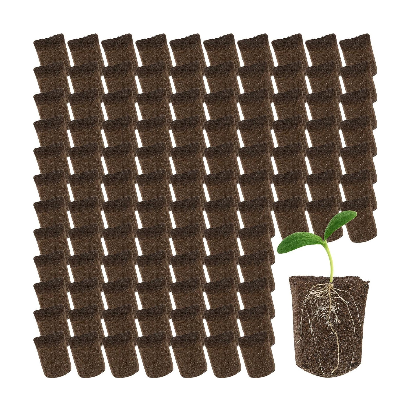 Hydroponic Sponges Grow Starter Pods Organic Growth Sponge Starter Plugs for Plant Cloning Growing (200 Pieces)