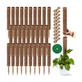 30 Pcs Moss Pole for Plants Monstera 16.5 Inch Coir Poles Bendable Monstera Plant Support with 10 Pcs 6.56 Feet Jute