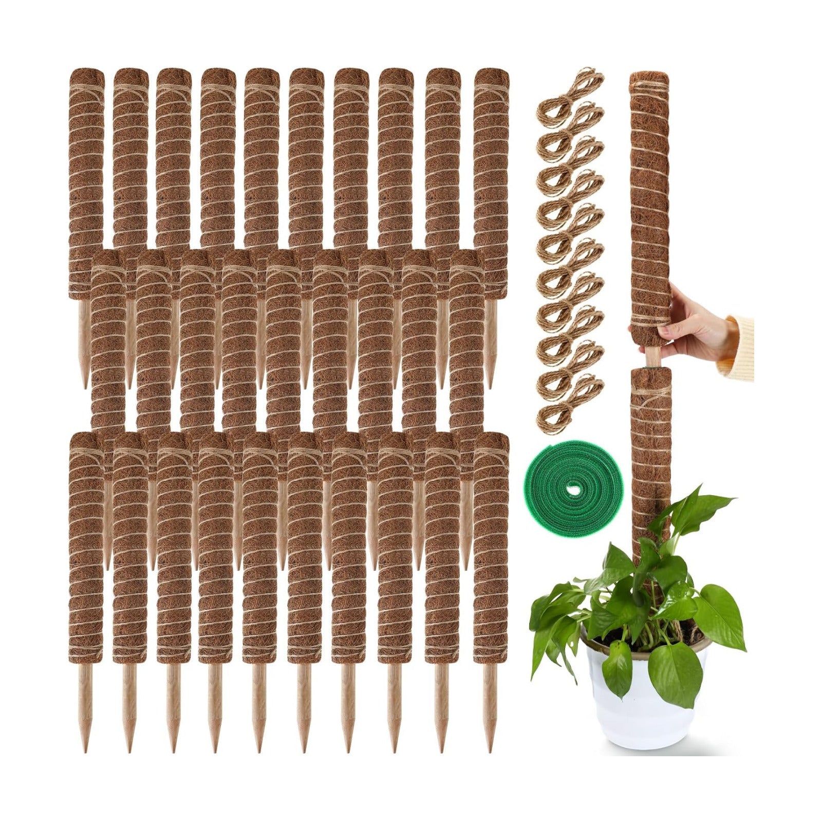 30 Pcs Moss Pole for Plants Monstera 16.5 Inch Coir Poles Bendable Monstera Plant Support with 10 Pcs 6.56 Feet Jute