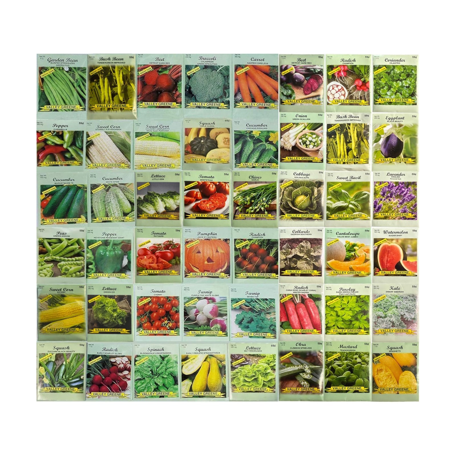 Set of 100 Packs of Valley Greene Assorted Heirloom Vegetable Seeds 100% Non-GMO