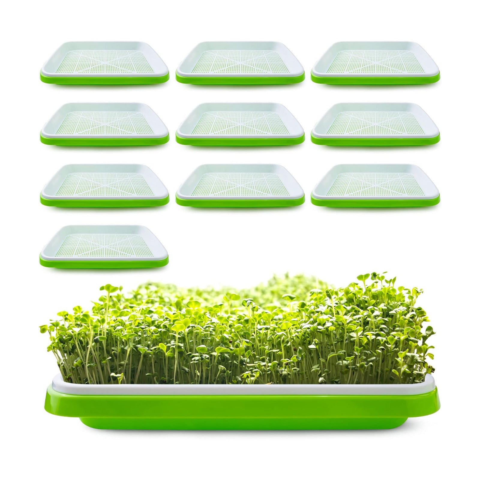 Pack 10 Seed Sprouter Tray with Drain Holes,Seed Germination Tray Kit BPA Free Nursery Tray,Soil-Free Big Capacity