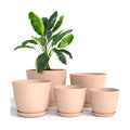 Plant Pots Indoor with Drainage, 5 Pack Multi-Size Planters Set, Pink