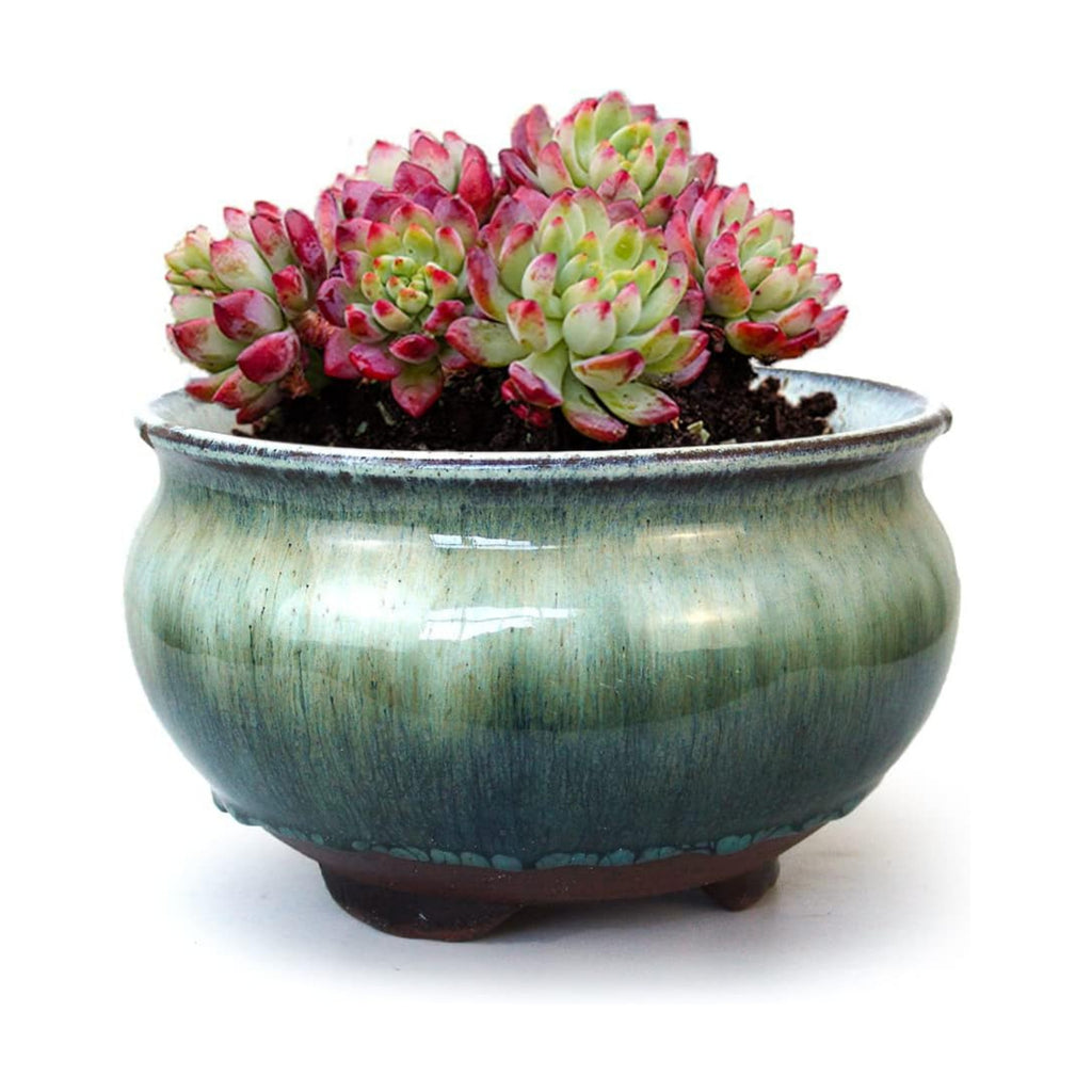 8 Inch Succulent Pot with Drainage and Saucer Glazed Terracotta Round Ceramic Succulent Planter Cactus Bonsai Plant Pot