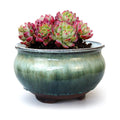 8 Inch Succulent Pot with Drainage and Saucer Glazed Terracotta Round Ceramic Succulent Planter Cactus Bonsai Plant Pot