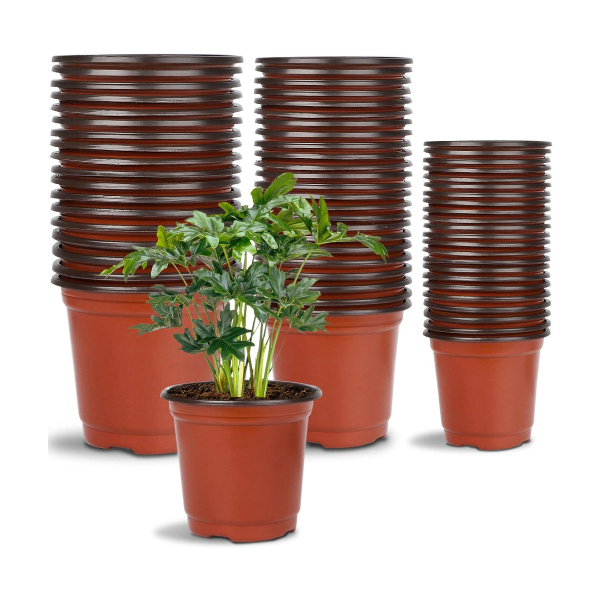 Augshy 120 Pcs Plastic Plants Nursery Pot, Seed Starting Pots 4,5,6-Inch
