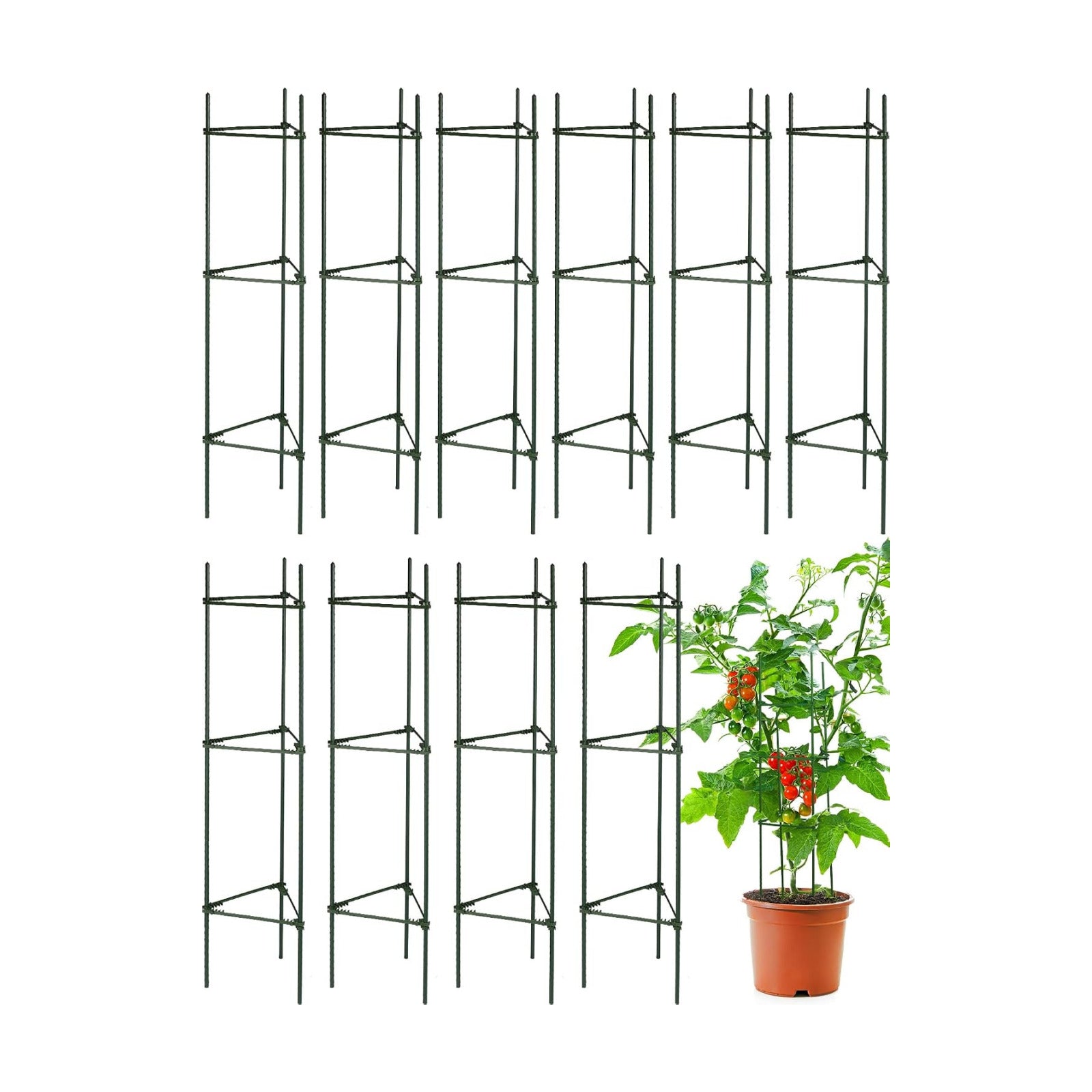 10 Packs Tomato Cages for Garden Support Up to 48" Tomato Plant Stakes Support with Adjustable Snap Arms Clips Plastic
