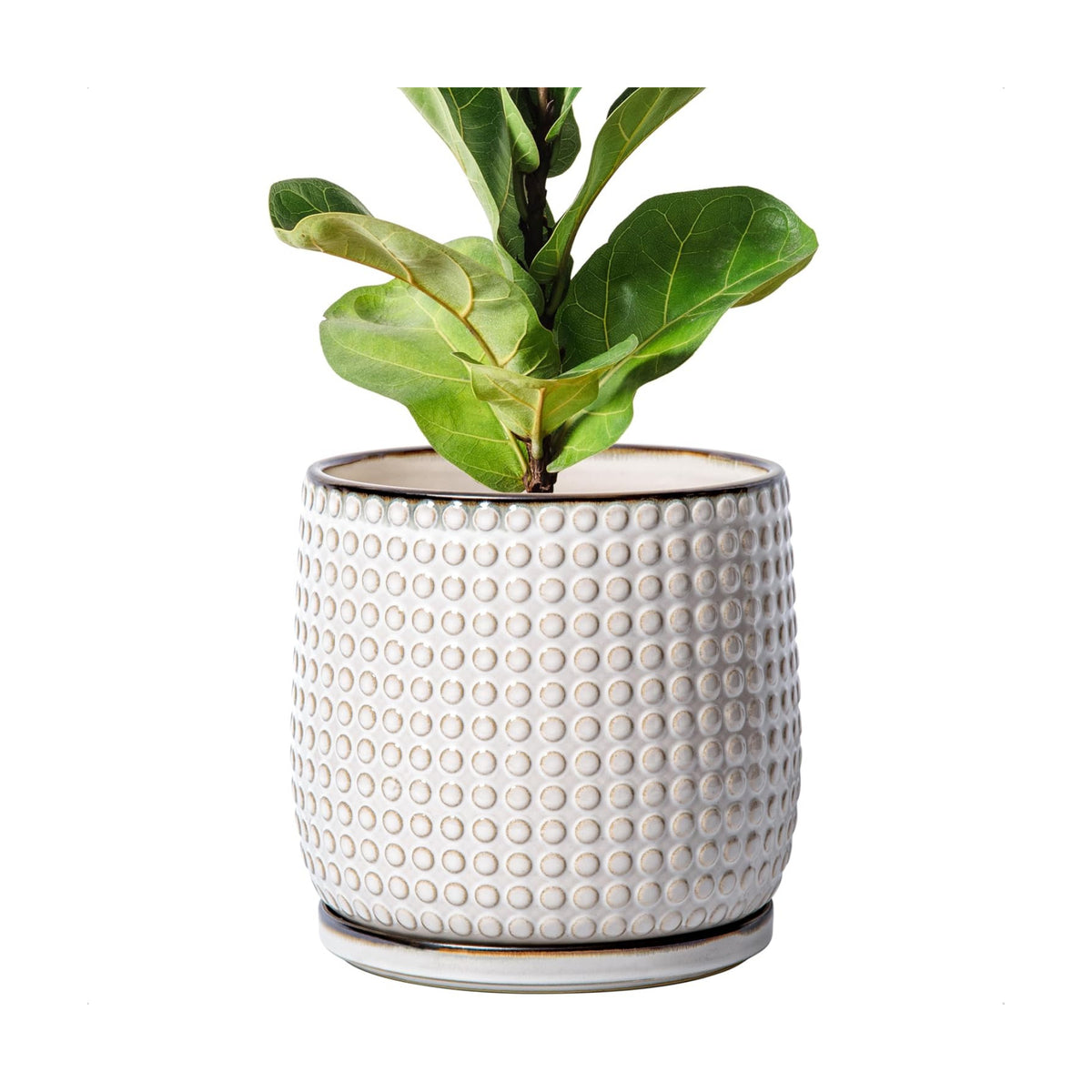 D'vine Dev Beaded Ceramic Pot with Saucer, 8 in, Smoked White, 27-C-Q-1
