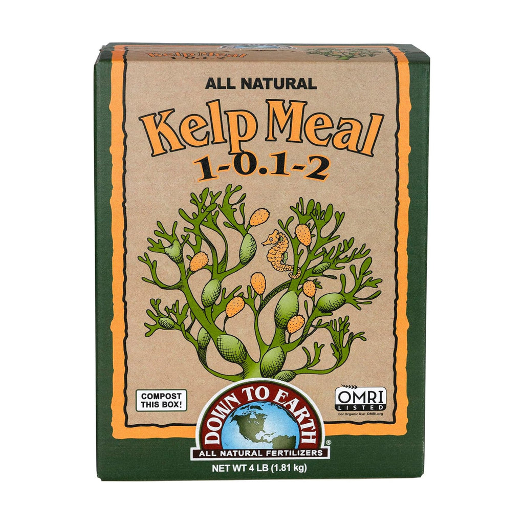 Down To Earth All Natural Fertilizers Organic Kelp Meal - 1-0.1-2, 4 lb | Plant Food with Seaweed (Ascophyllum