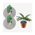 Curtis Wagner Plastics Plant Guard, 16" Diameter, 2-Pack | Plant Protector from Cats & Animals | Plant Soil Cover | Trim-to-Fit Plant Pot Cover for Healthy Root Growth | Indoor or Outdoor Use