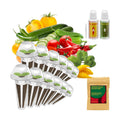 Inbloom Tomato Seed Pod Kit for Aerogarden, Hydroponics Growing System Kit 12-Pods (300+ Seeds Included Cherry Tomato