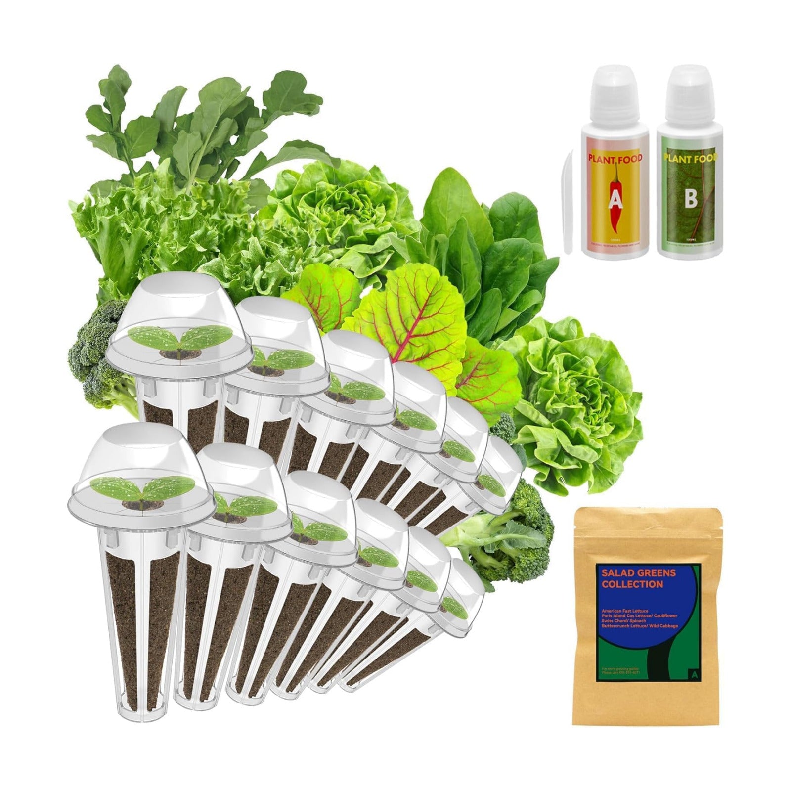 inbloom Salad Green Seed Pod Kit for Hydroponics Growing System, 12 Pods (350+ Seeds with American Fast/Paris