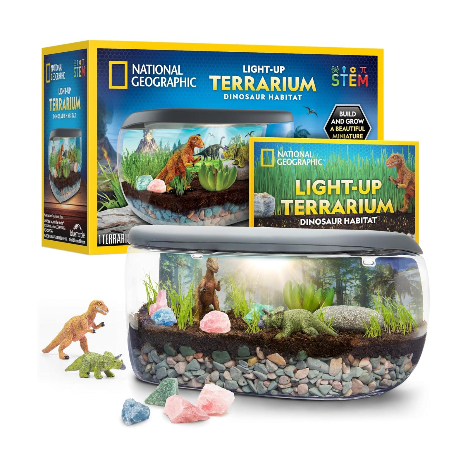 National Geographic Light-Up Dinosaur Terrarium Kit for Kids Ages 6+ | Real Plants and Gemstones, Night Light, Dino